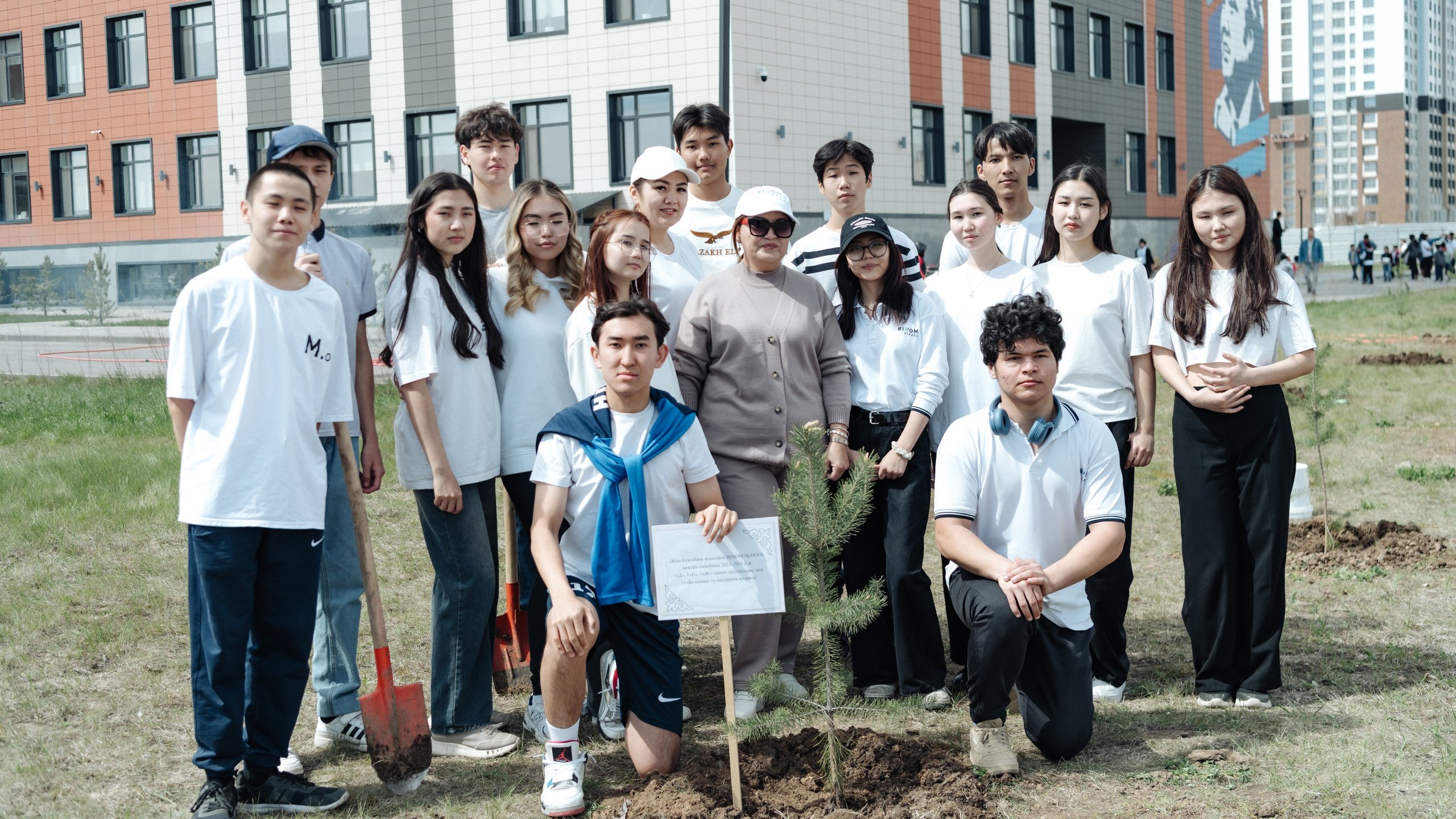 Озеленение территории школы